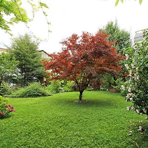 Nigler , Innsbruck Autriche